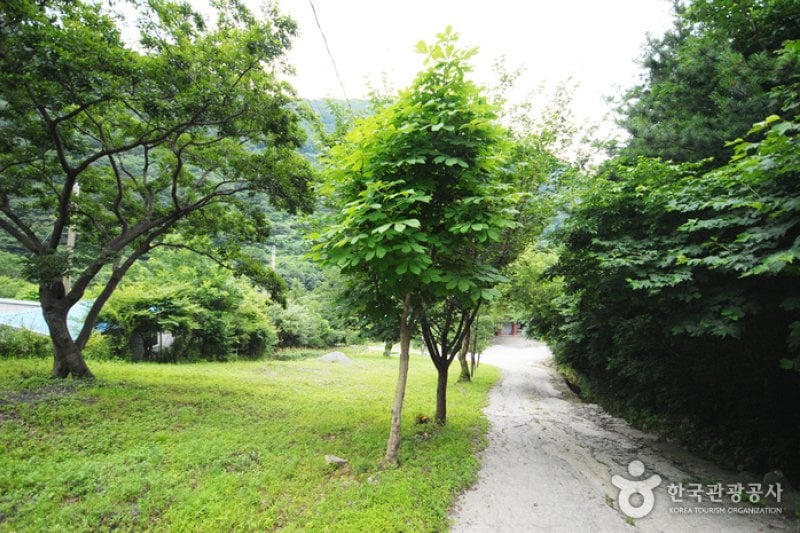 Ganwolsan Mountain  (10/11)