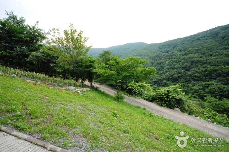 Ganwolsan Mountain  (11/11)