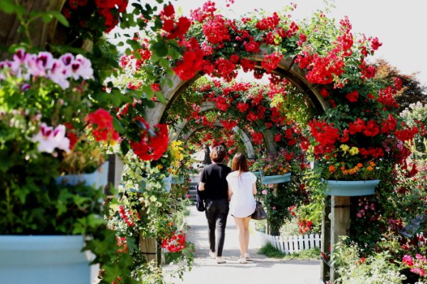 Seoul Grand Park Rose Festival