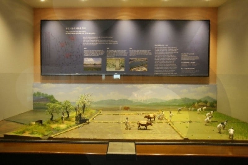 Suwon Hwaseong Museum  (13/46)