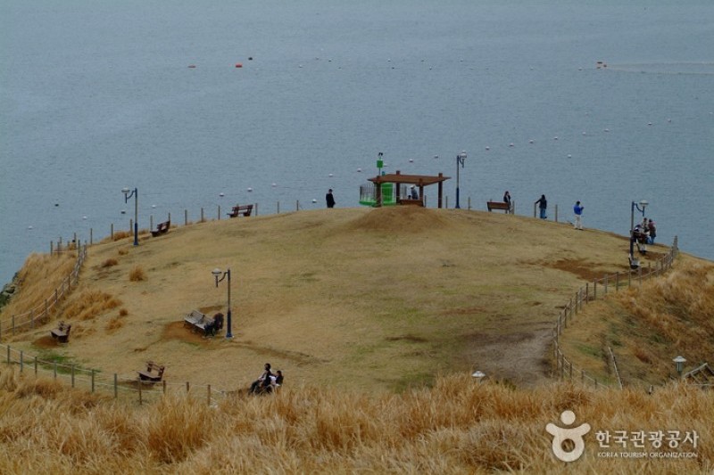 Windy Hill  (11/13)