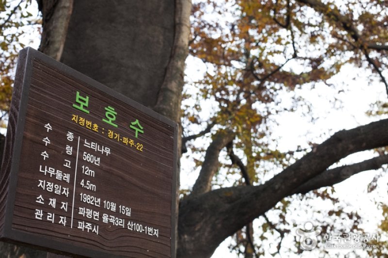 Hwaseokjeong Pavilion  (11/11)