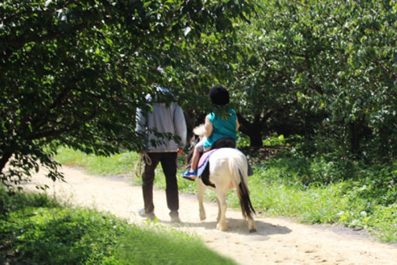 Hueree Natural Park  (13/16)