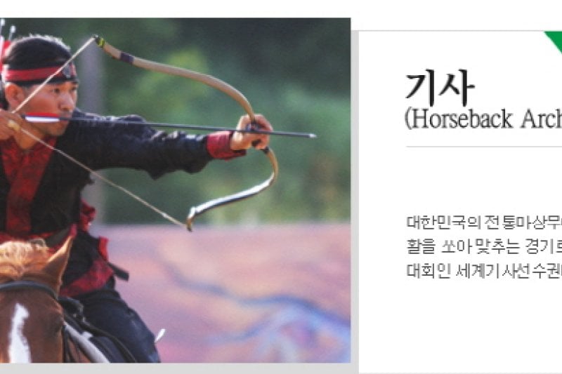 Cheongju World Martial Arts Masterships  (2/16)