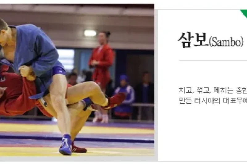 Cheongju World Martial Arts Masterships  (3/16)