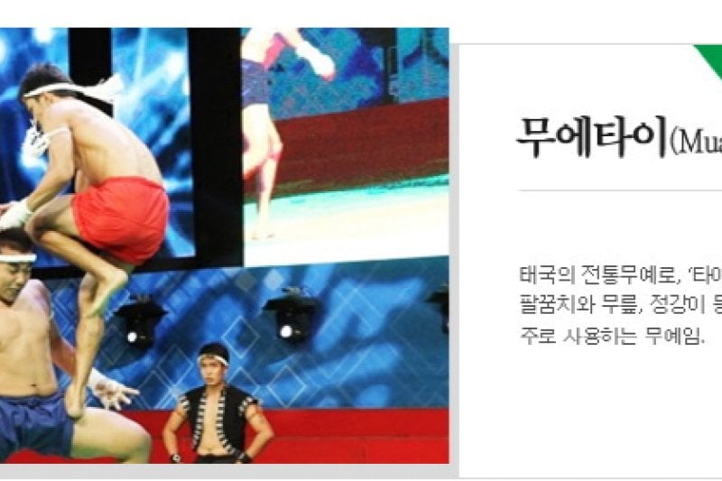 Cheongju World Martial Arts Masterships  (4/16)
