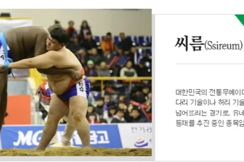 Cheongju World Martial Arts Masterships  (5/16)