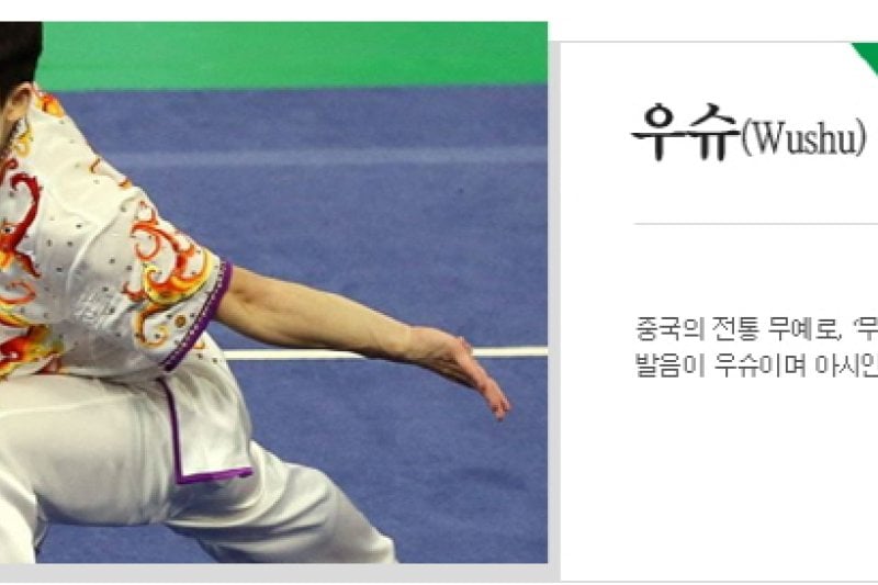 Cheongju World Martial Arts Masterships  (7/16)