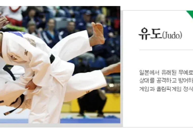 Cheongju World Martial Arts Masterships  (8/16)