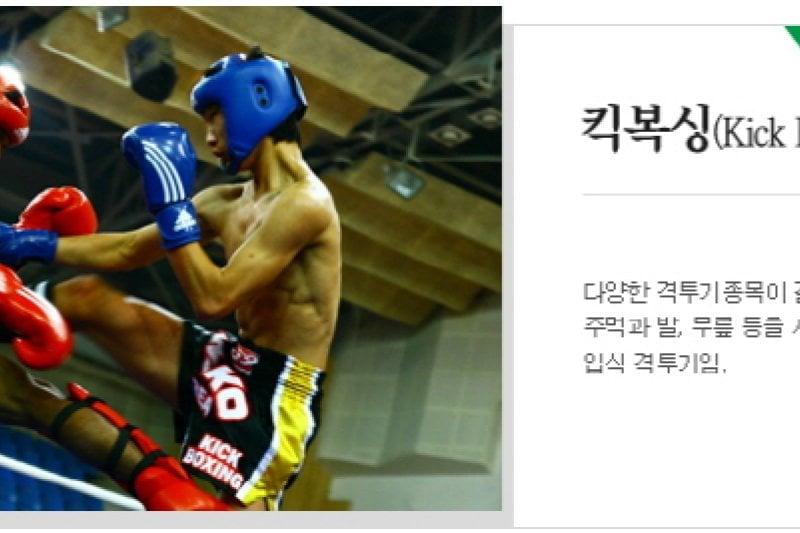 Cheongju World Martial Arts Masterships  (9/16)