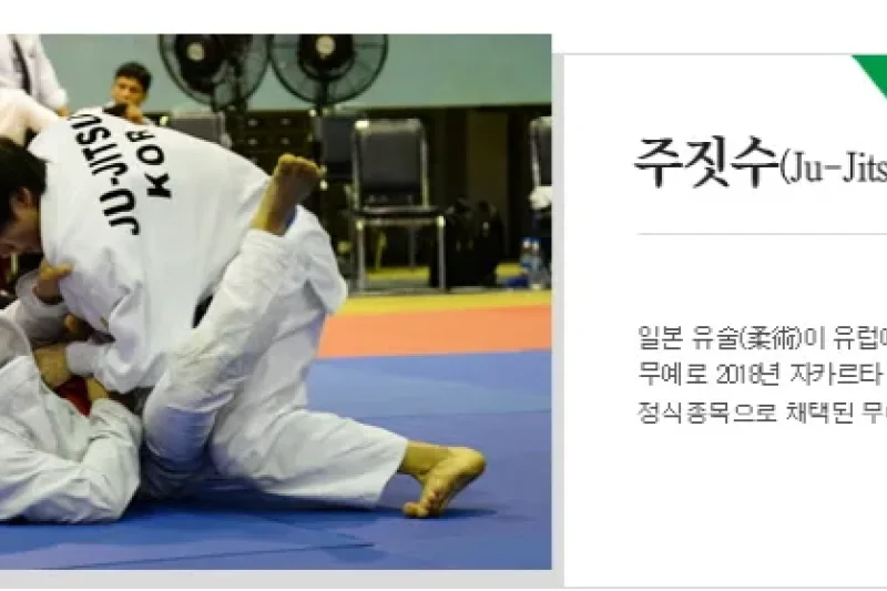 Cheongju World Martial Arts Masterships  (10/16)