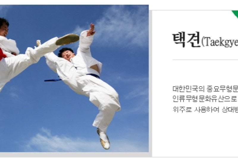 Cheongju World Martial Arts Masterships  (13/16)
