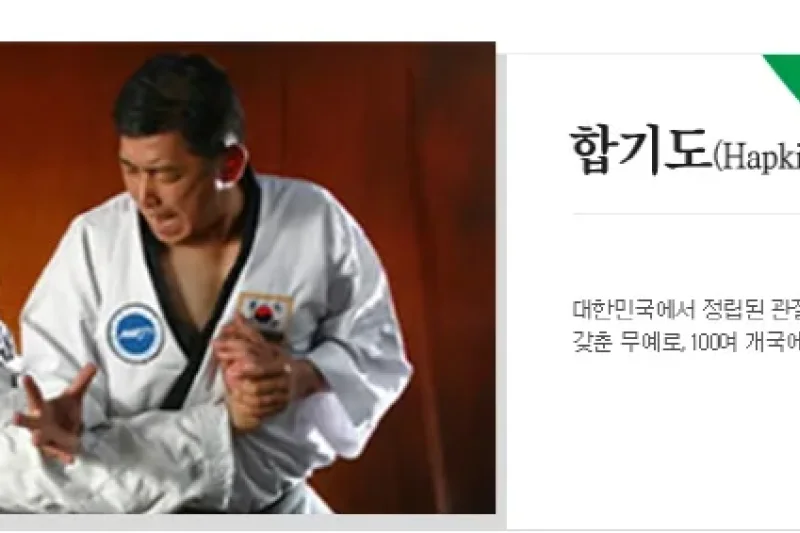Cheongju World Martial Arts Masterships  (14/16)