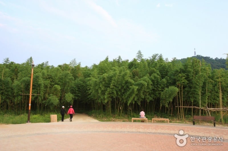 Taehwagang Grand Park  (32/32)