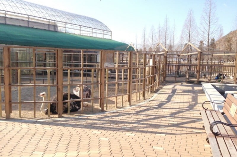 Gyeongju Bird Park  (3/29)