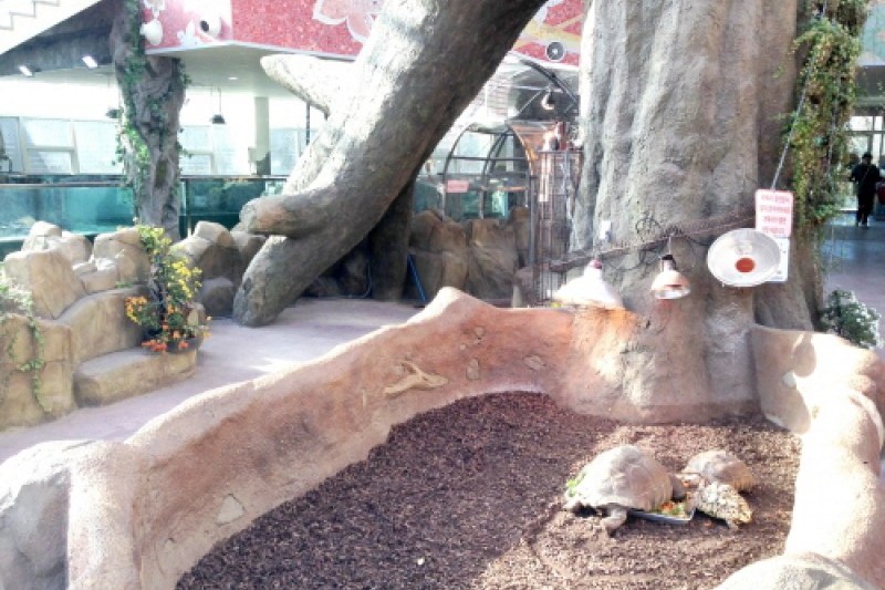 Gyeongju Bird Park  (5/29)
