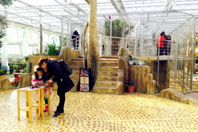 Gyeongju Bird Park  (7/29)