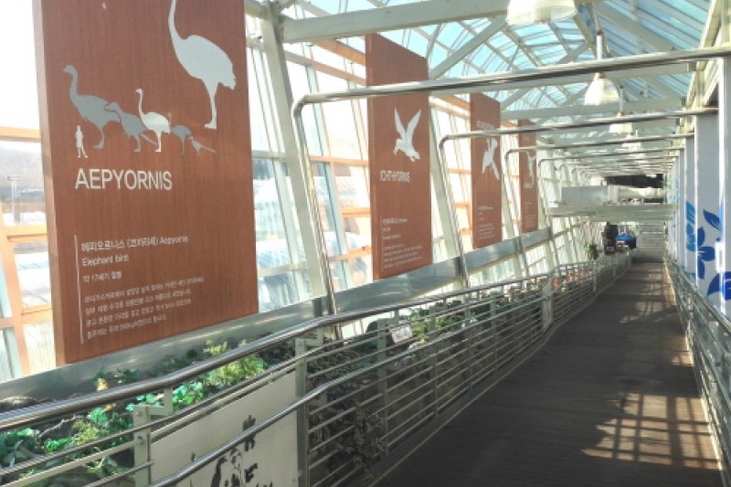 Gyeongju Bird Park  (9/29)