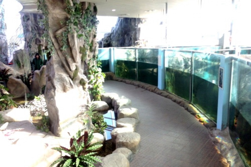 Gyeongju Bird Park  (14/29)