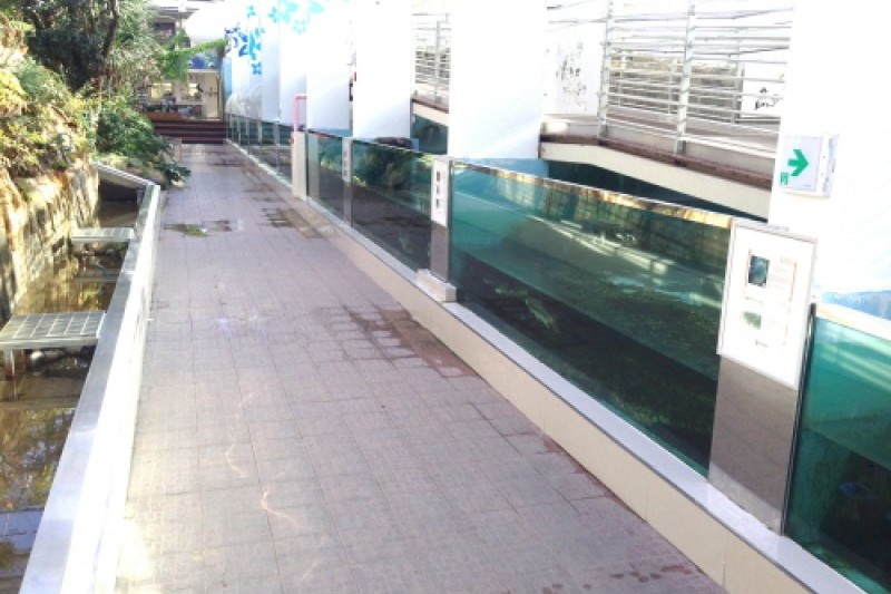 Gyeongju Bird Park  (15/29)