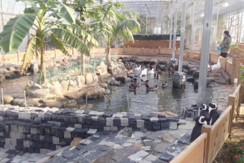 Gyeongju Bird Park  (18/29)