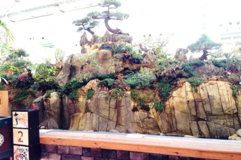 Gyeongju Bird Park  (23/29)