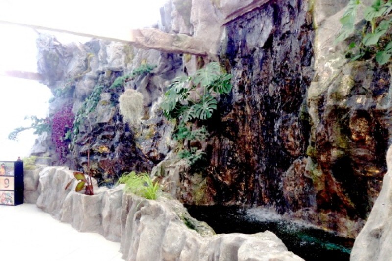 Gyeongju Bird Park  (24/29)
