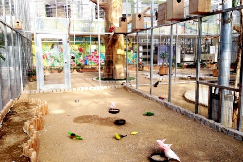 Gyeongju Bird Park  (25/29)