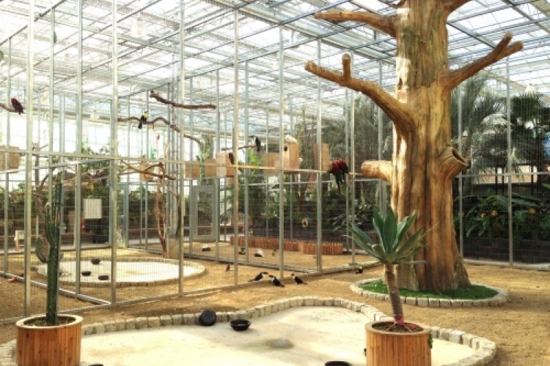 Gyeongju Bird Park  (29/29)