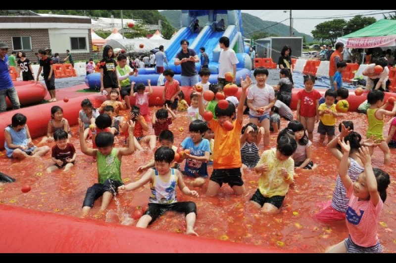 Gwangju Toechon Tomato Festival  (1/3)