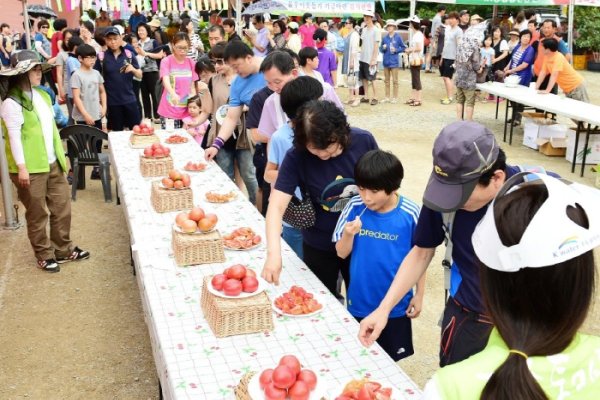 Gwangju Toechon Tomato Festival