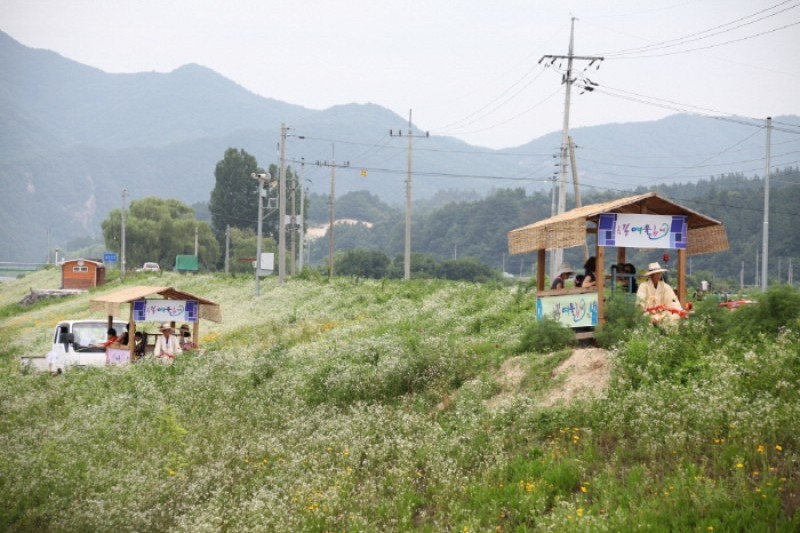 Geumgang Yeoul Festival  (2/5)