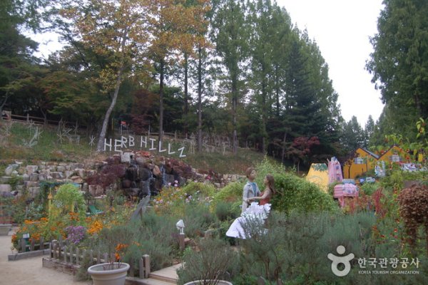 Hill Crest