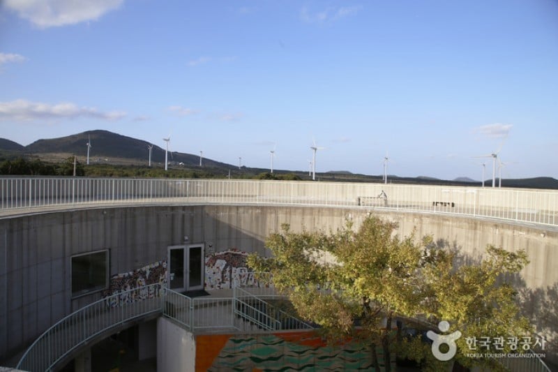 Jeju Horse Park  (14/18)