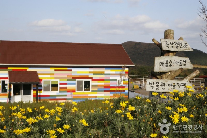 Jeju Horse Park  (17/18)