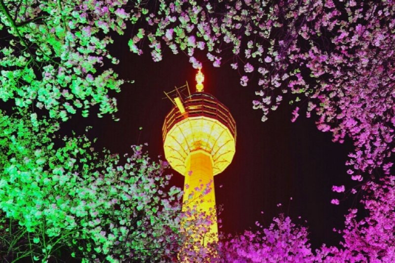 E-World Starlight Festival (1/36)