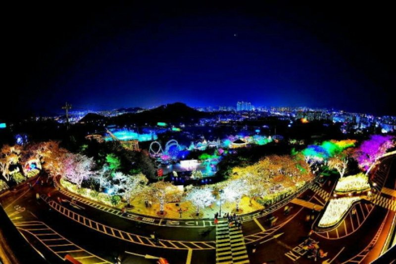 E-World Starlight Festival (8/36)