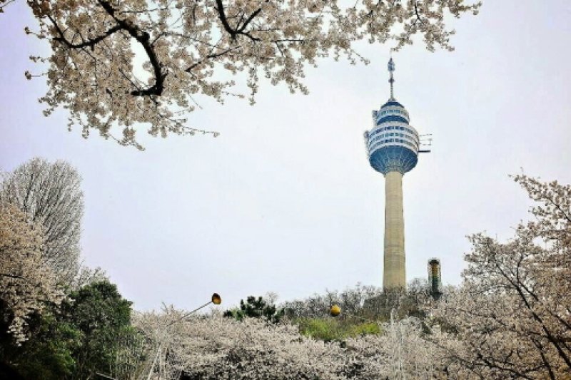 E-World Starlight Festival (9/36)