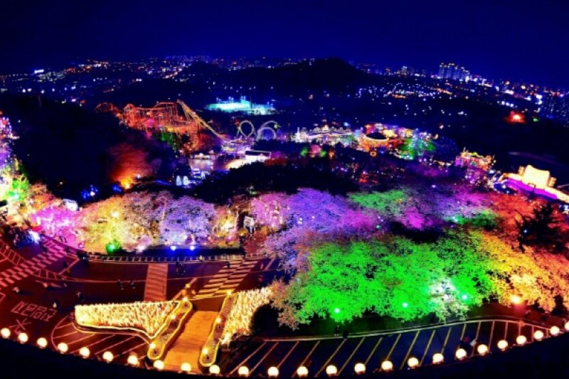E-World Starlight Festival (12/36)