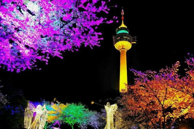 E-World Starlight Festival (16/36)