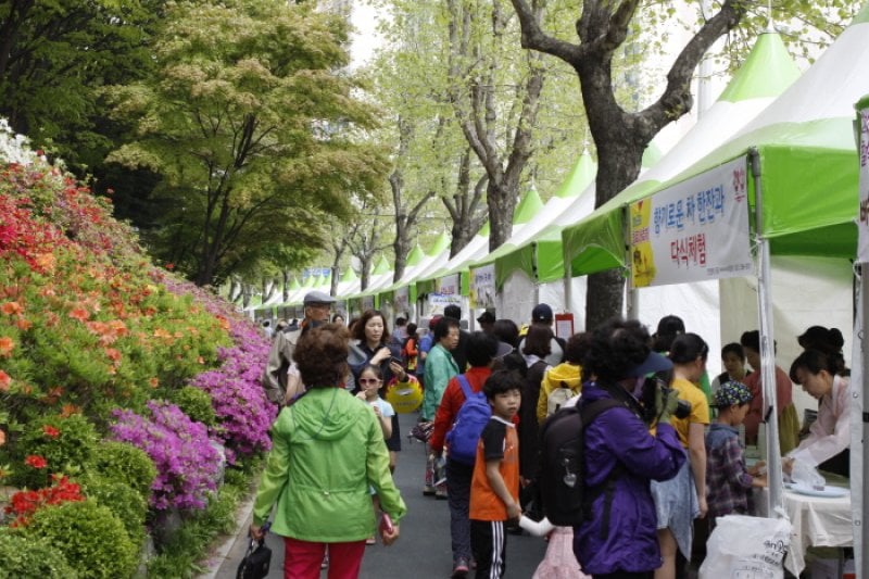 Gunpo Royal Azalea Festival  (3/19)