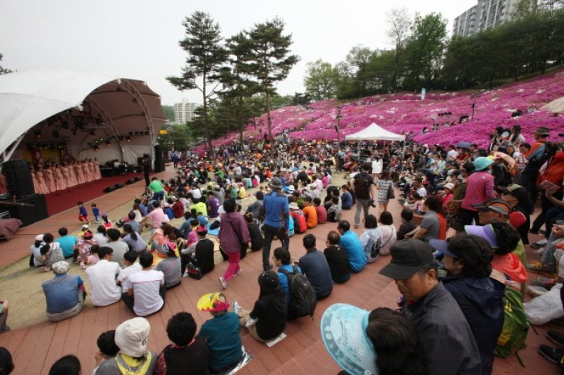 Gunpo Royal Azalea Festival  (4/19)
