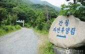Ganwol Recreational Forest 