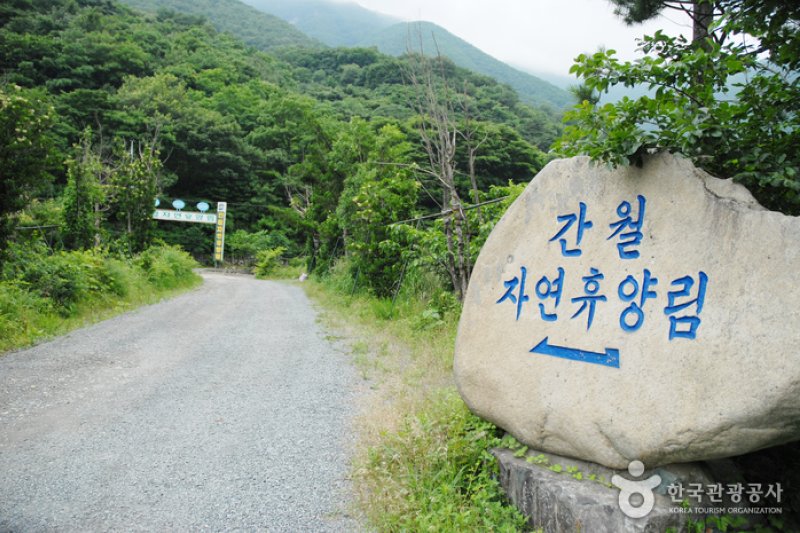 Ganwol Recreational Forest  (1/13)