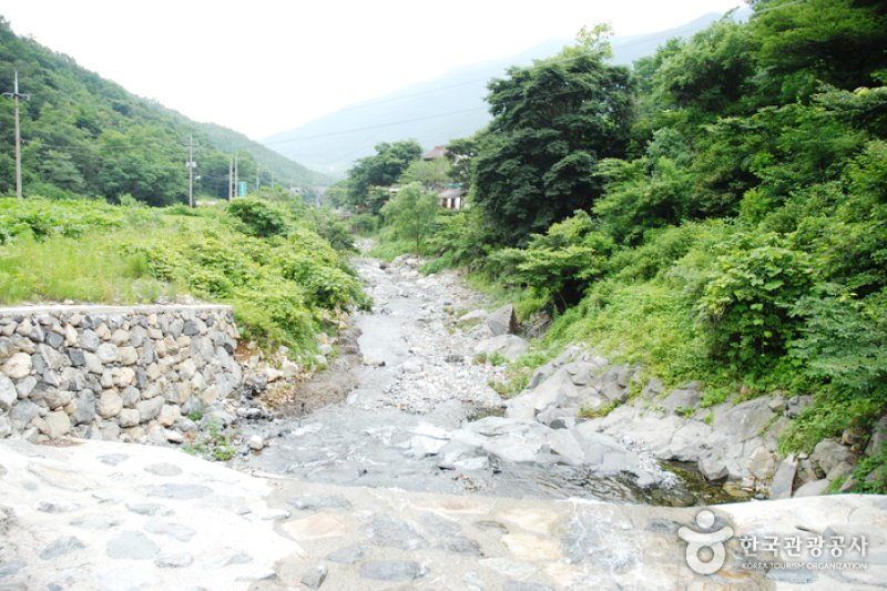 Ganwol Recreational Forest  (2/13)