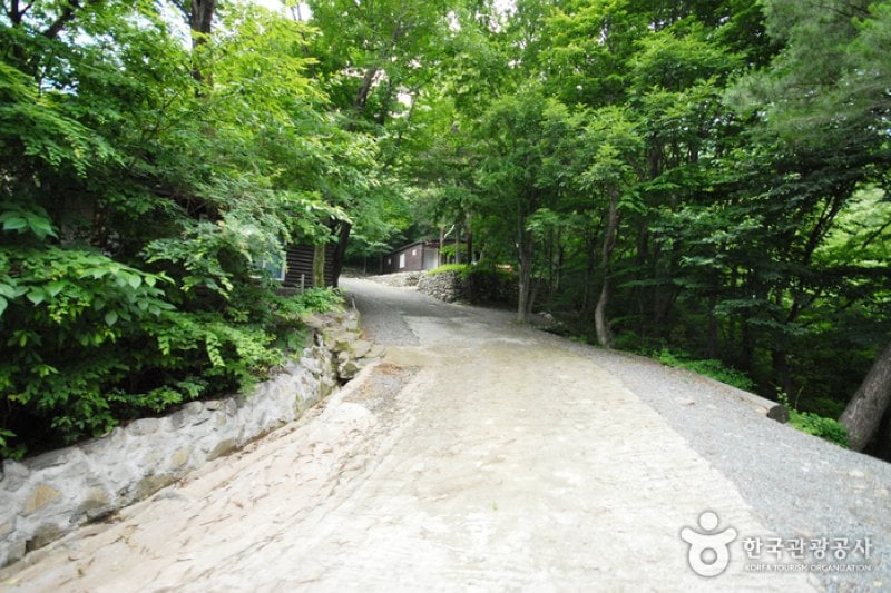 Ganwol Recreational Forest  (6/13)