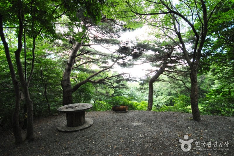 Ganwol Recreational Forest  (7/13)