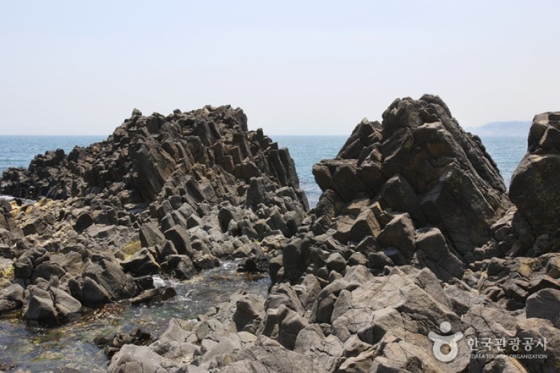 Jusangjeolli Cliff of Gangdong Hwaam Maeul Village (강동 화암 주상절리) (5/22)