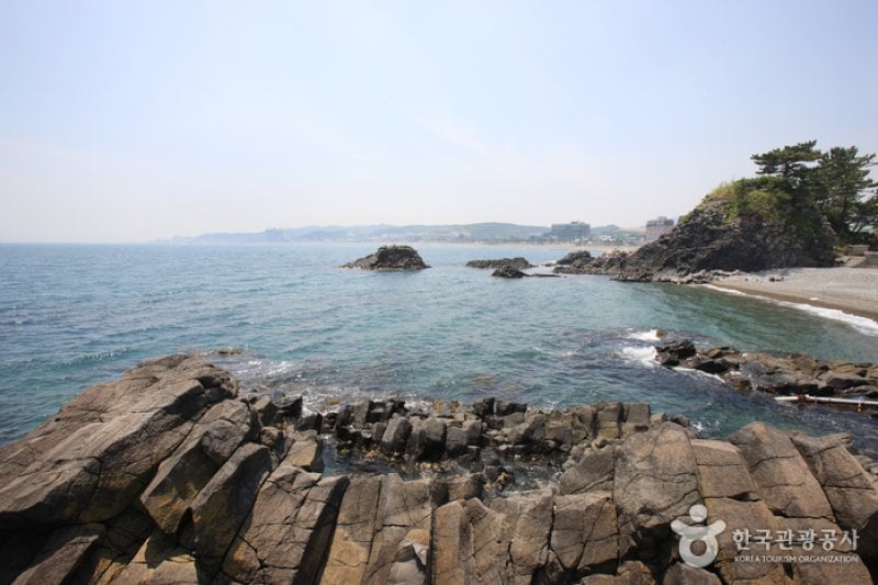 Jusangjeolli Cliff of Gangdong Hwaam Maeul Village (강동 화암 주상절리) (6/22)