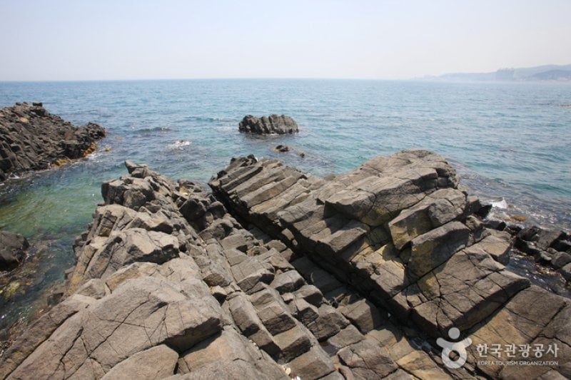 Jusangjeolli Cliff of Gangdong Hwaam Maeul Village (강동 화암 주상절리) (7/22)